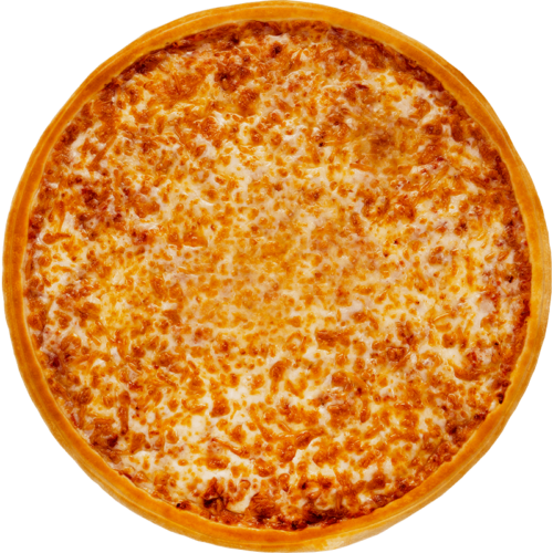 Famous Mozzarella Cheese Pizza